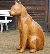 kočka